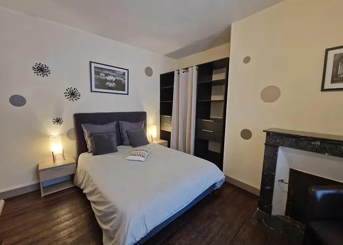 Les Escales De Franck - Coeur De - Nature Apartment Poitiers